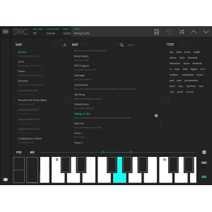 instruments DRC - Polyphonic Synthesizer