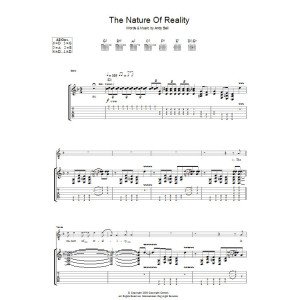 The Nature Of Reality
