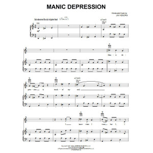 Manic Depression