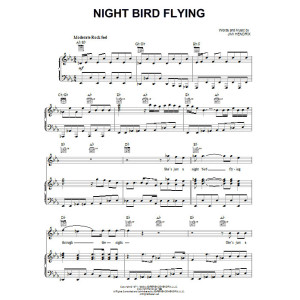 Night Bird Flying