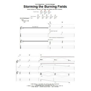 Storming The Burning Fields