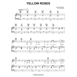 Yellow Roses