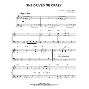 She Drives Me Crazy