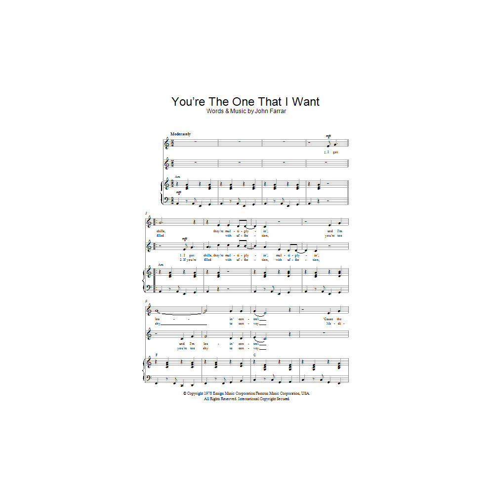 You're The One That I Want