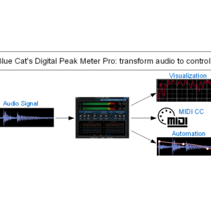 Blue Cat Audio Blue Cat DP Meter Pro