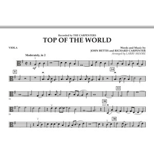 Top of the World - Viola