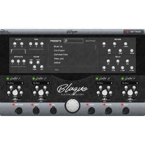 NNLLC Blaque - Dark Electric Guitar