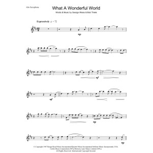 What A Wonderful World