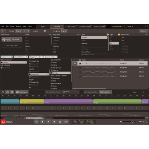 Toontrack EZbass Pack