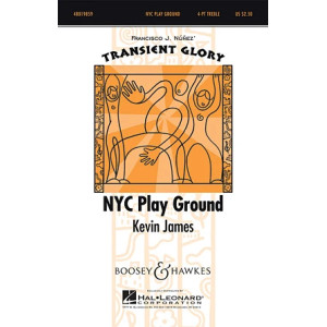 NYC Play Ground