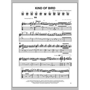 Kind Of Bird