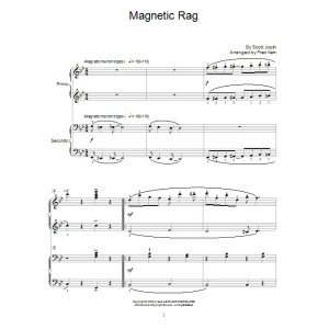 Magnetic Rag