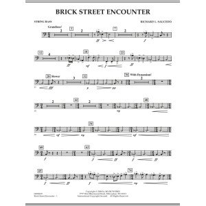 Brick Street Encounter - String Bass