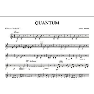 Quantum - Bb Bass Clarinet