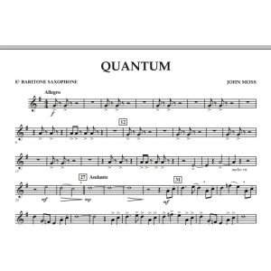 Quantum - Eb Baritone Saxophone