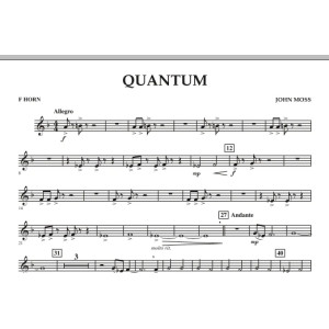 Quantum - F Horn