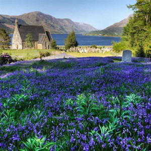 The Blue Bells Of Scotland