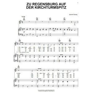 Zu Regensburg Auf Der Kirchturmspitz