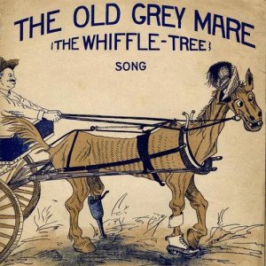 The Old Gray Mare