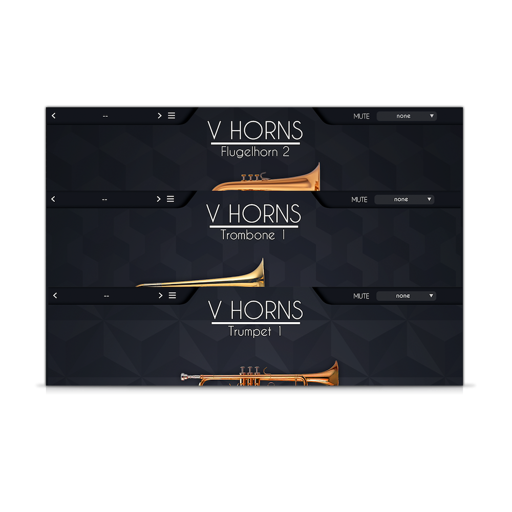 VHorns Brass Section
