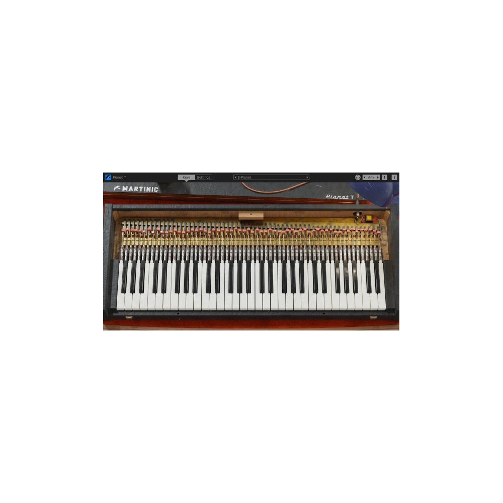 Pianet T