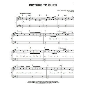 Picture To Burn