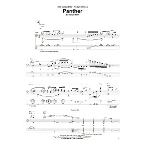 Panther