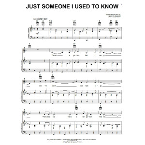 Just Someone I Used To Know