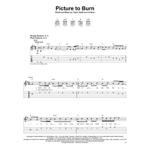 Picture To Burn