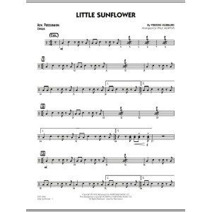Little Sunflower - Aux Percussion