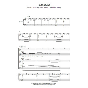 Blackbird