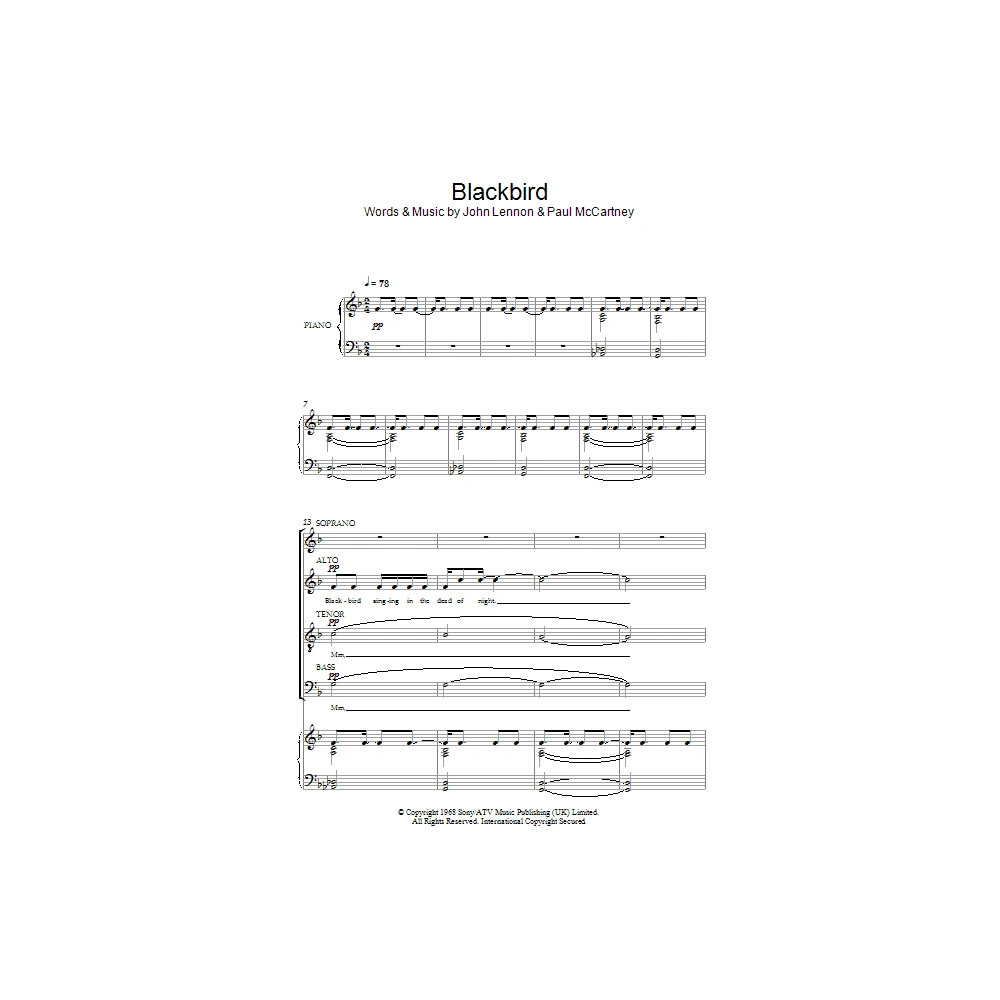 Blackbird