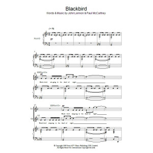Blackbird