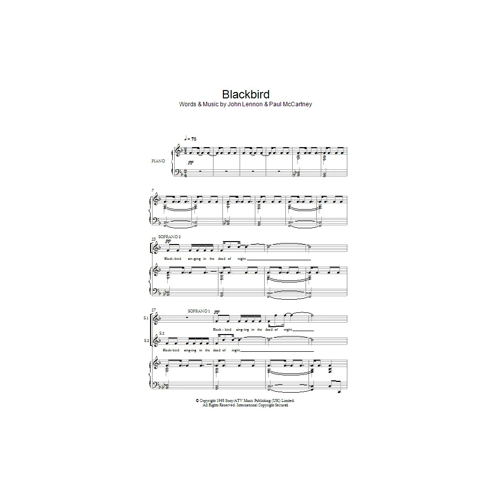 Blackbird