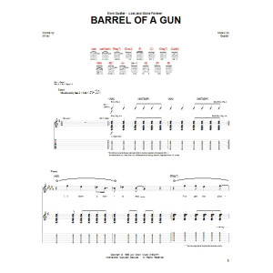 Barrel Of A Gun