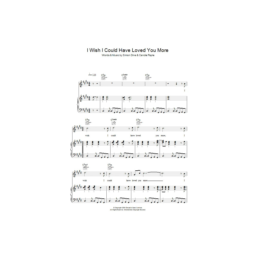 I Wish I Could Have Loved You More