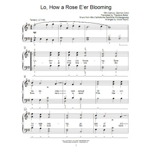 Lo, How A Rose E'er Blooming