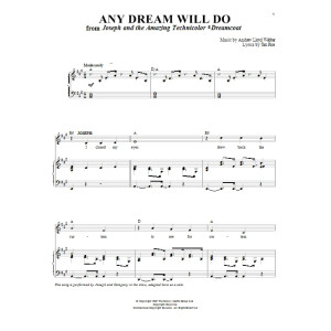 Any Dream Will Do