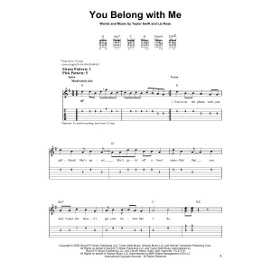 You Belong With Me