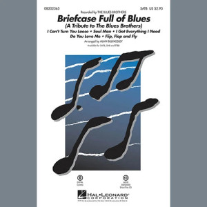 Briefcase Full Of Blues (Eine Hommage an die Blues Brothers) - Drums