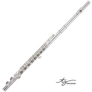Trevor James Flute Virtuoso 31vv-hrxwl