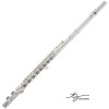 Trevor James Flute Cantabile 31cv-hrxwl