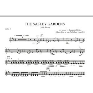 The Salley Gardens - Violin 1