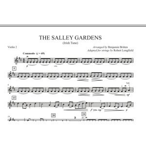 The Salley Gardens - Violine 2