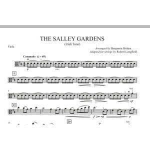 The Salley Gardens - Viola
