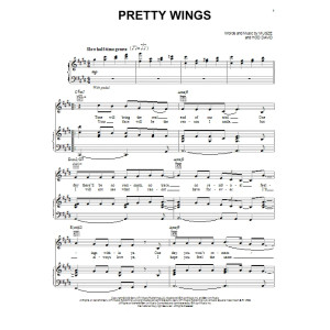 Pretty Wings