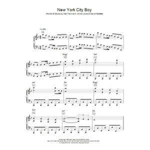 New York City Boy