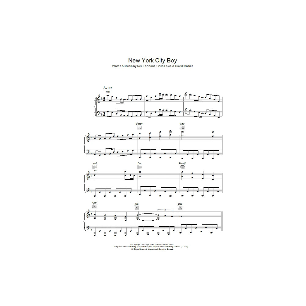 New York City Boy