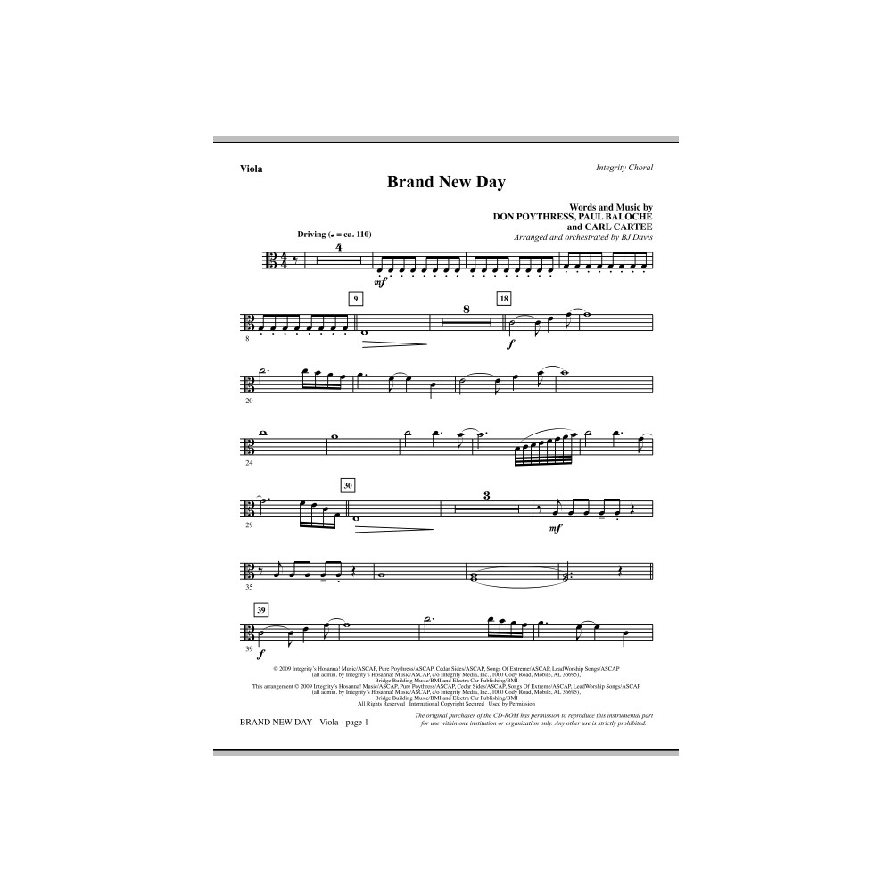 Brand New Day - Viola