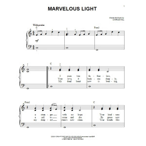 Marvelous Light